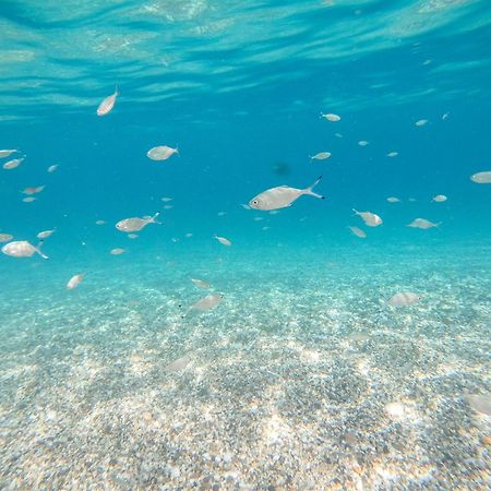 Complejo Turistico Los Bayiyos Agua Amarga  Kültér fotó
