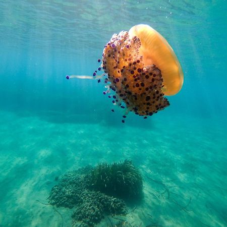 Complejo Turistico Los Bayiyos Agua Amarga  Kültér fotó