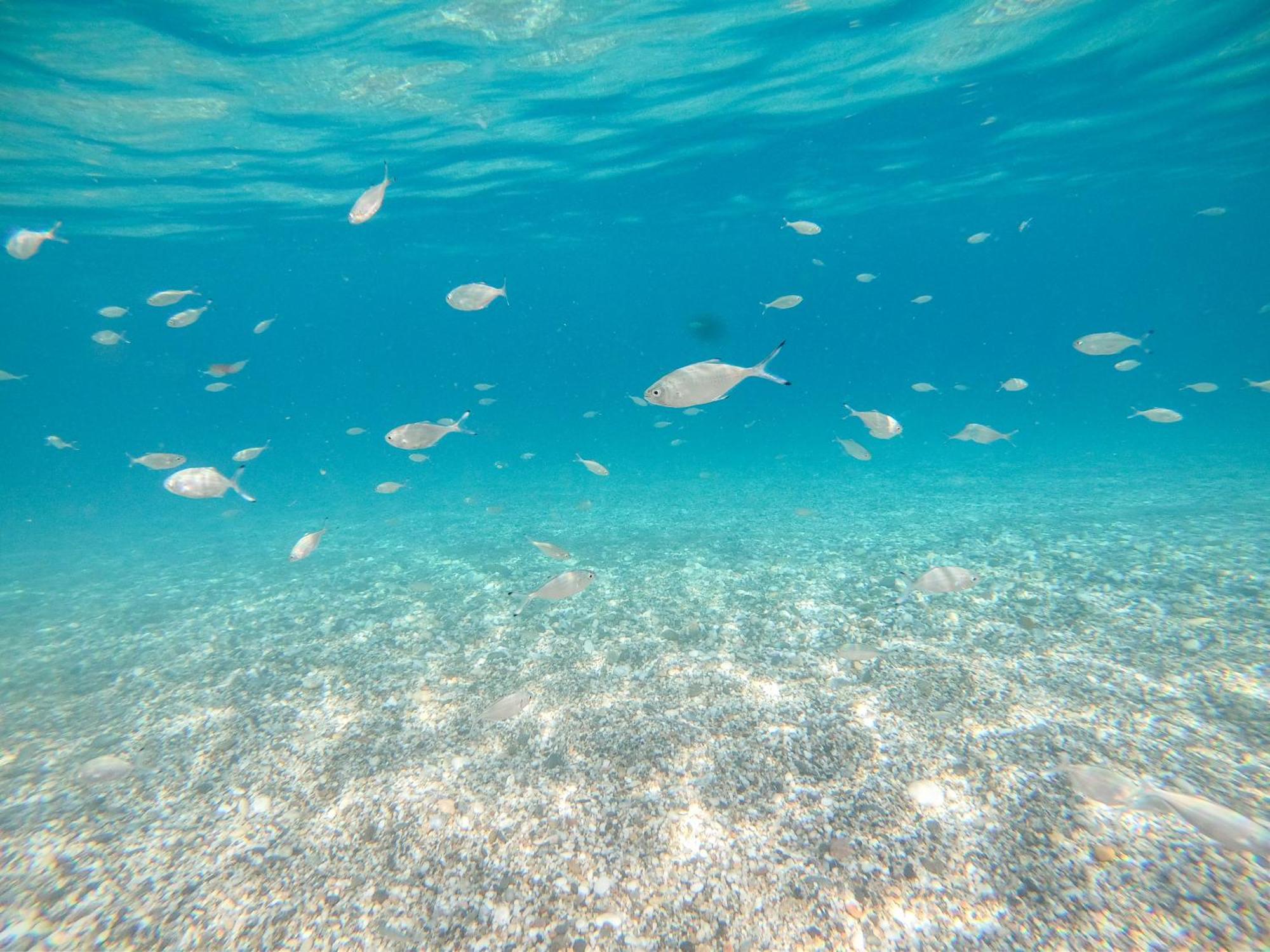 Complejo Turistico Los Bayiyos Agua Amarga  Kültér fotó