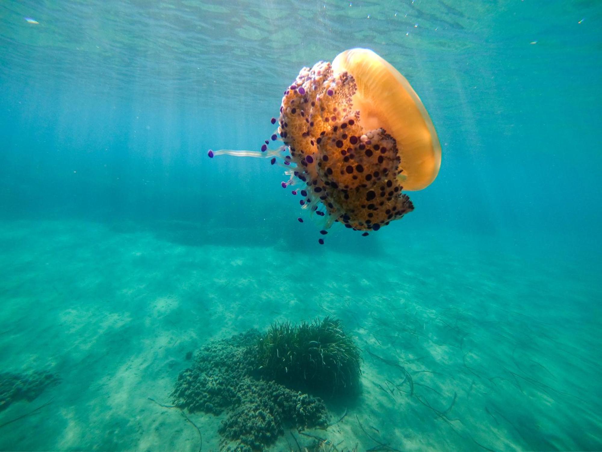 Complejo Turistico Los Bayiyos Agua Amarga  Kültér fotó